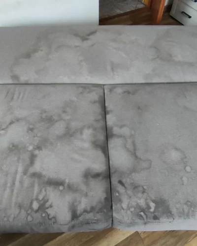 inbound2774955211542914046